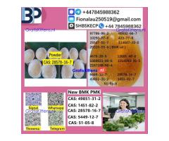 28578-16-7 PMK ethyl glycidate Oil Powder High Purity Source Factory Safe Delivery