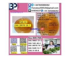 P.MK Oil 28578-16-7 High Purity Chemical Raw Material