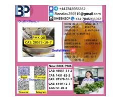 P.MK Oil 28578-16-7 High Purity Chemical Raw Material