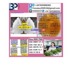 28578-16-7 P.MK Oil High Purity Chemical Raw Material