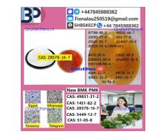 28578-16-7 P.MK Powder Molecular Formula C13H14O5