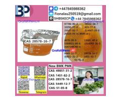 28578-16-7 Germany Stock High Purity P.MK Powder