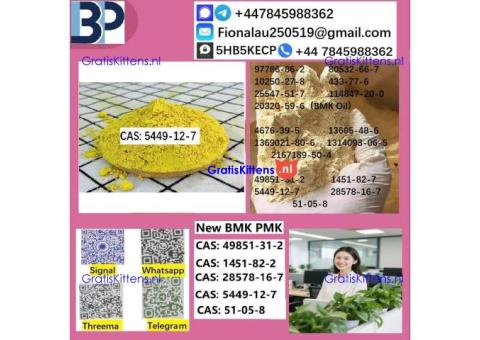 5449-12-7 BMK Glycidic Acid (sodium salt) With Best Price by First