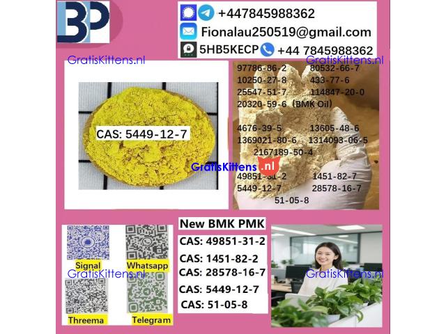 5449-12-7 BMK Glycidic Acid (sodium salt) With Best Price