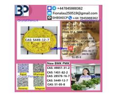 5449-12-7 BMK Glycidic Acid (sodium salt) With Best Price