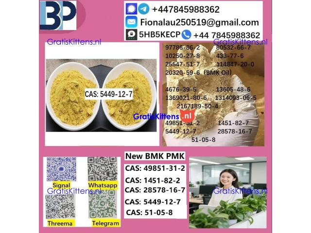 5449-12-7 BMK Glycidic Acid (sodium salt) With Best Price