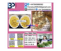 5449-12-7 BMK Glycidic Acid (sodium salt) With Best Price