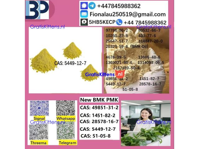 5449-12-7 BMK Glycidic Acid (sodium salt) With Best Price