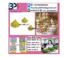 5449-12-7 BMK Glycidic Acid (sodium salt) With Best Price