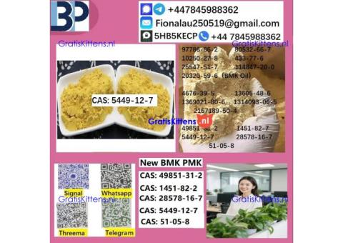 5449-12-7 BMK Glycidic Acid (sodium salt)