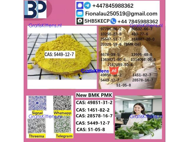 5449-12-7 BMK Glycidic Acid (sodium salt)