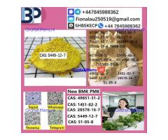 5449-12-7 BMK Glycidic Acid (sodium salt)