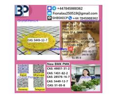 5449-12-7 BMK Glycidic Acid (sodium salt)
