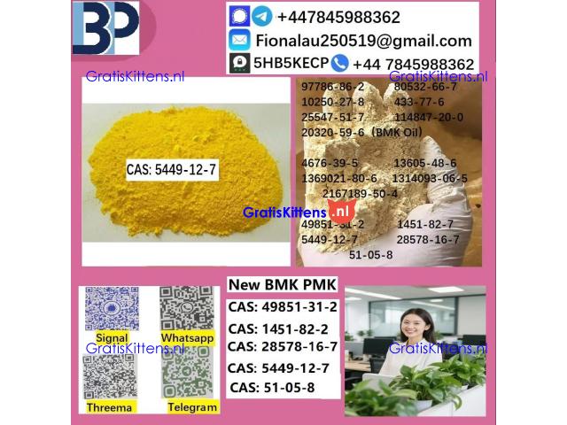 5449-12-7 BMK Glycidic Acid (sodium salt)
