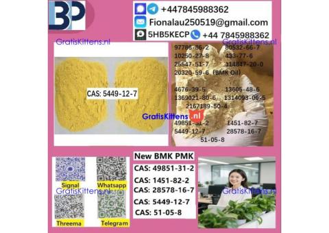 5449-12-7 BMK PMK Chemical raw materials high purity NICE