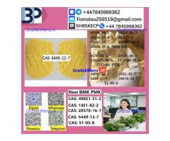 5449-12-7 BMK PMK Chemical raw materials high purity NICE