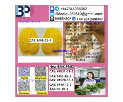 5449-12-7 BMK Chemical raw materials high purity NICE