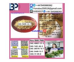 5449-12-7 BMK Chemical raw materials high purity NICE