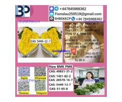 5449-12-7 BMK Chemical raw materials high purity NICE