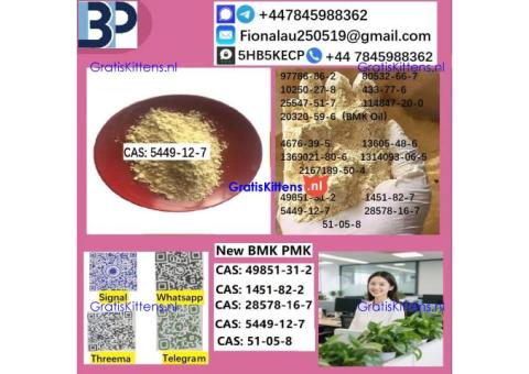 5449-12-7 BMK powder Chemical raw materials high purity NICE