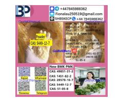 5449-12-7 BMK powder Chemical raw materials high purity NICE