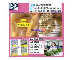 5449-12-7 BMK powder Chemical raw materials high purity NICE