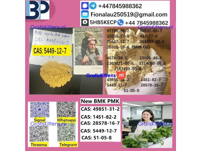 5449-12-7 BMK powder Chemical raw materials high purity NICE