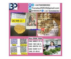 5449-12-7 BMK powder Chemical raw materials high purity NICE