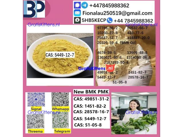 5449-12-7 BMK powder oil Chemical raw materials high purity NICE