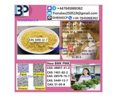 5449-12-7 BMK powder oil Chemical raw materials high purity NICE