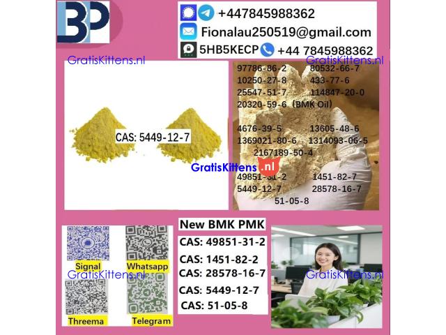 5449-12-7 BMK powder oil Chemical raw materials high purity NICE