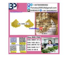 5449-12-7 BMK powder oil Chemical raw materials high purity NICE