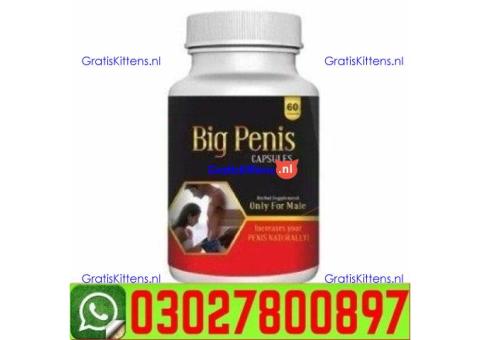 Big Penis Capsule in Multan # 0302-78OO897
