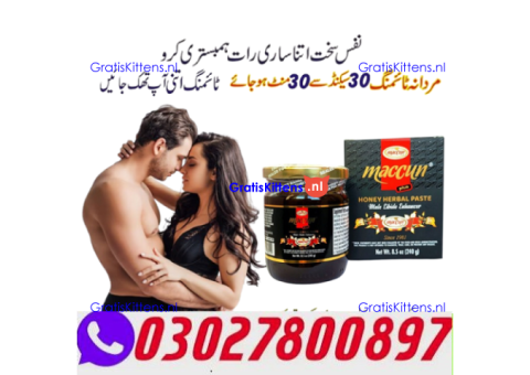 Maccun Plus Price in Rawalpindi ( O3O278OO897