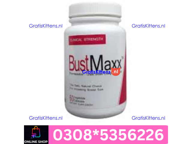 BustMaxx Capsules in Sukkur | 03005356678 order now