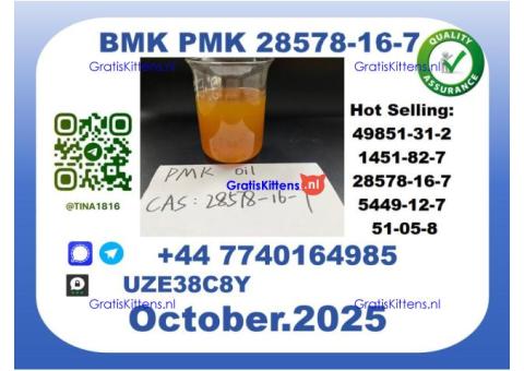 CAS 28578-16-7 B.M.K P.M.K Certified Factory Supply
