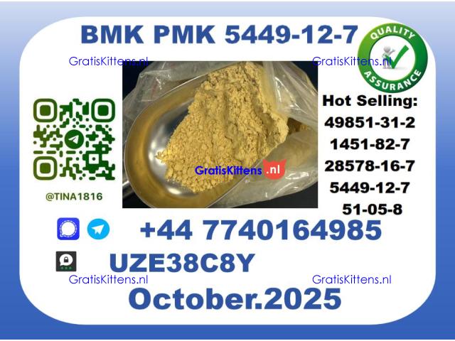 CAS 5449-12-7 B.M.K P.M.K