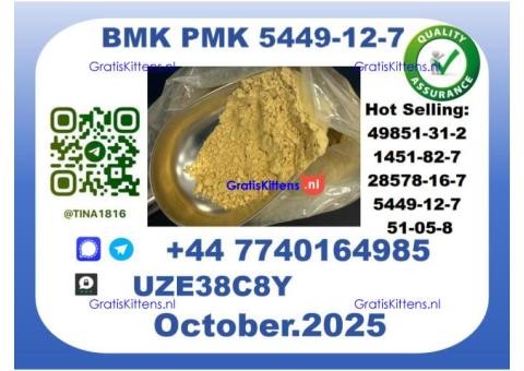 CAS 5449-12-7 B.M.K P.M.K