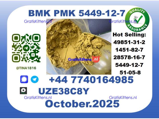 CAS 5449-12-7 B.M.K P.M.K