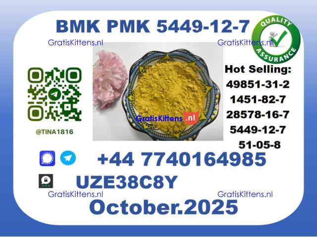CAS 5449-12-7 B.M.K P.M.K