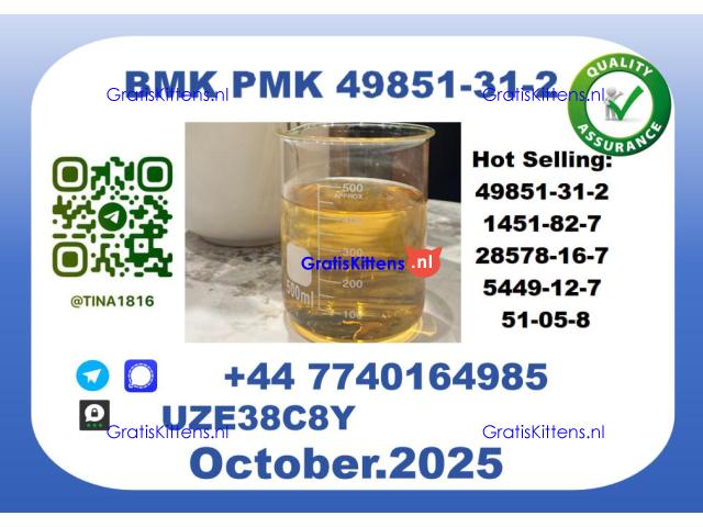 B.M.K P.M.K Oil,CAS 49851-31-2 toppest Factory Supply