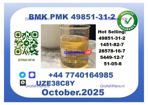 B.M.K P.M.K Oil,CAS 49851-31-2 toppest Factory Supply