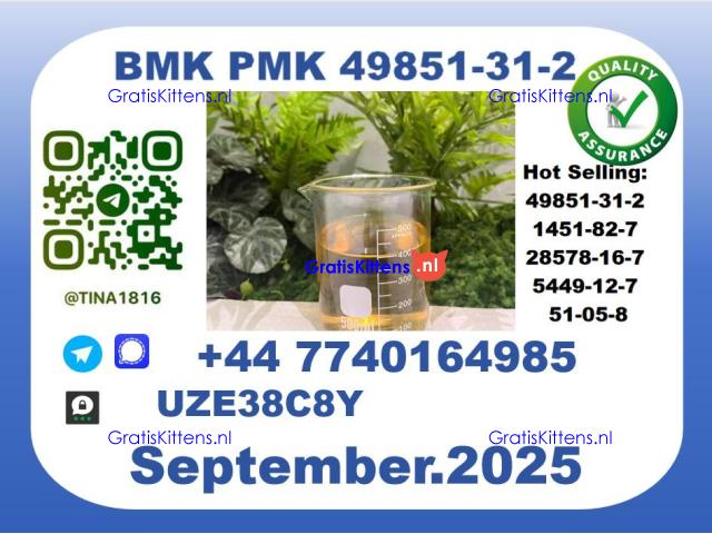 B.M.K P.M.K Oil,CAS 49851-31-2 toppest Factory Supply