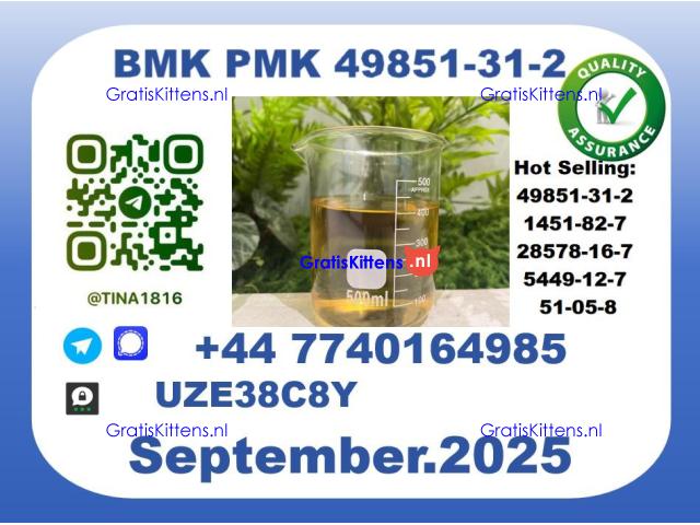 B.M.K P.M.K Oil,CAS 49851-31-2 toppest Factory Supply