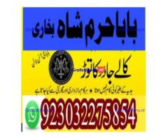 amil baba contact number, kala jadu expert in usa