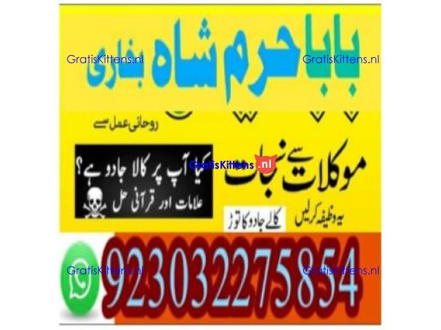 amil baba contact number, kala jadu expert in usa