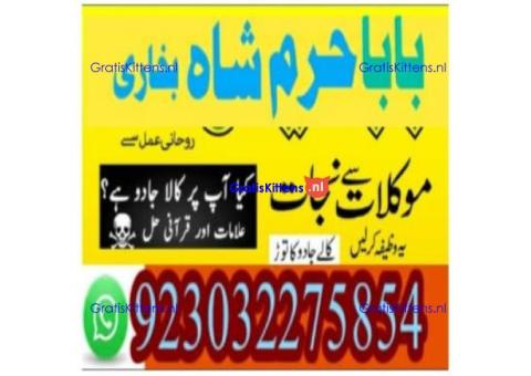 amil baba contact number, kala jadu expert in usa