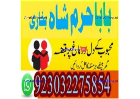 amil baba contact number, kala jadu expert in usa