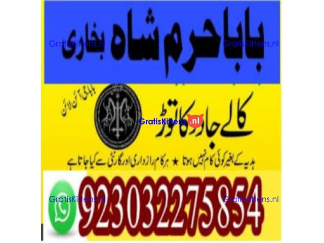 amil baba contact number, kala jadu expert in usa