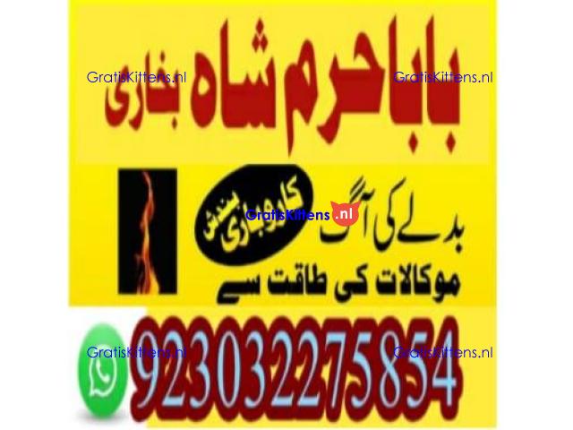 amil baba contact number, kala jadu expert in usa